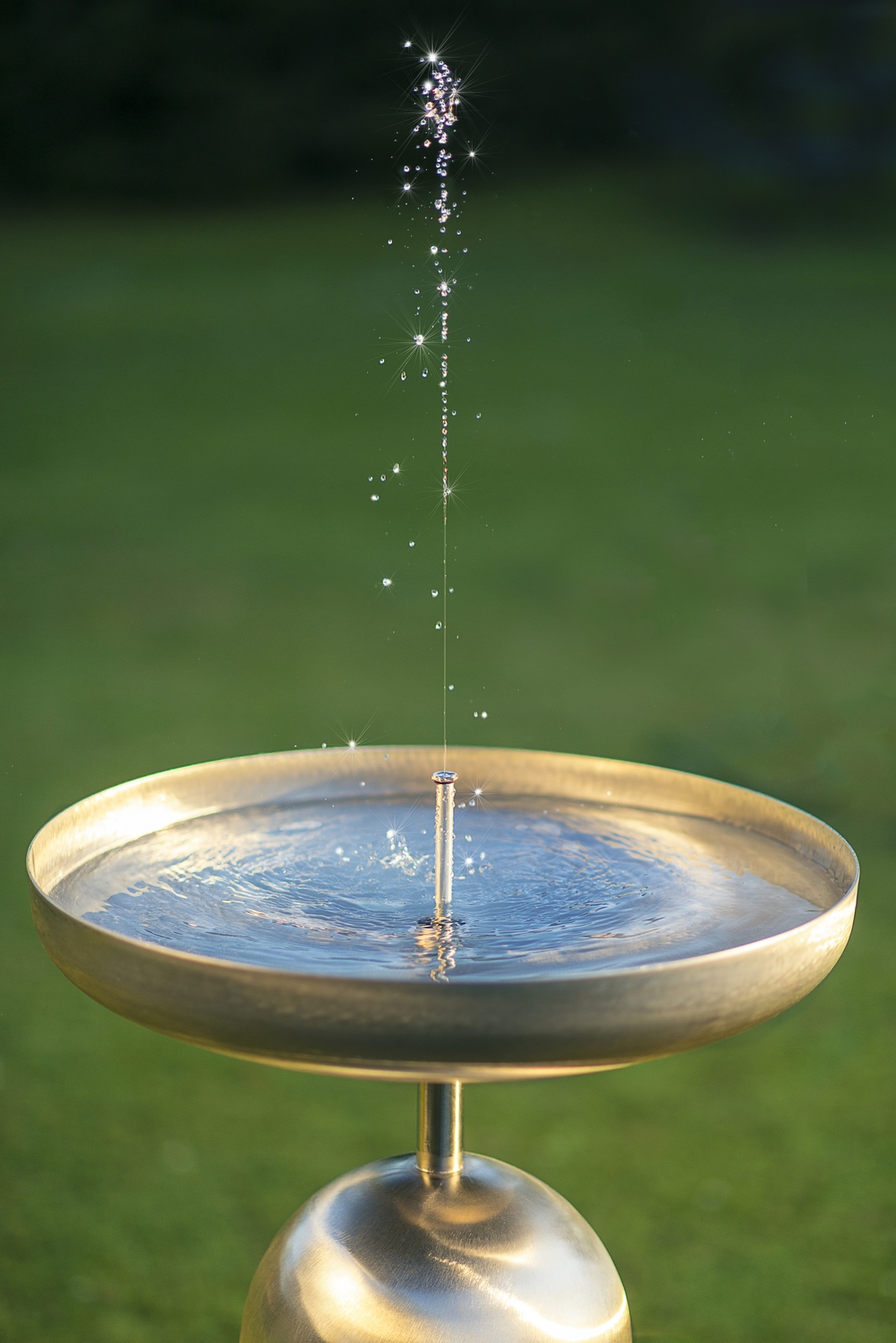 Brunnenschale im Abendlicht